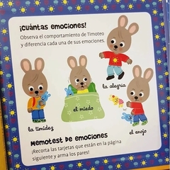 TIMOTEO Y SUS EMOCIONES en internet