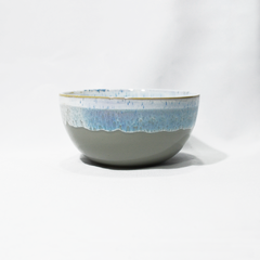 Bowl de cerámica con colores en internet