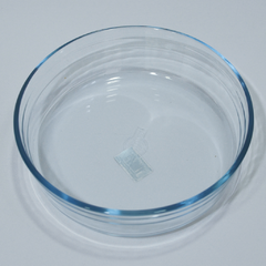 Fuente de vidrio - Circular O Cuisine - comprar online