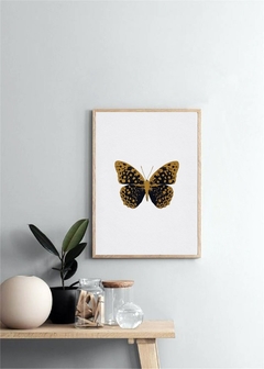 SET ARROWS + BUTTERFLY en internet