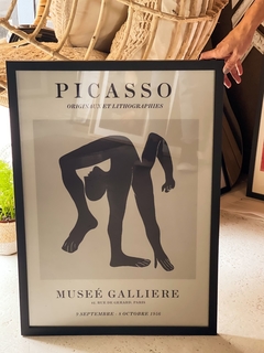 PICASSO M