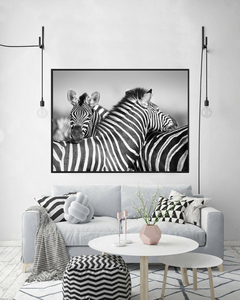 ZEBRAS #1
