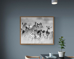ZEBRAS #2