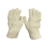 Guante Terry 10-100 ROGUANT