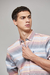 Ls Horizontal Stripe Shirt PENGUIN - comprar online