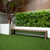 Cesped Sintetico Sport Soft 10m2
