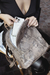 MOCHILA LEONOR visón - comprar online