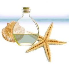 Fragancia Brisa Marina