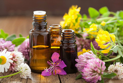 Fragancia Floral Fantástico