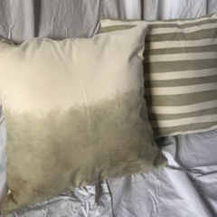 Imagen de Almohadones