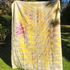 Lonas Holi - tienda online