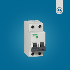 Llave Térmica Bipolar 2x25A Schneider