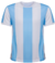 Camiseta argentina en internet