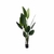Revenala - comprar online