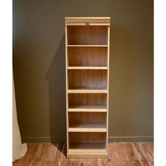Modulo Biblioteca N5