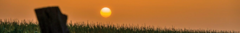 Banner de la categoría Agricultura