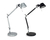 · THOLOMEO - M · - comprar online