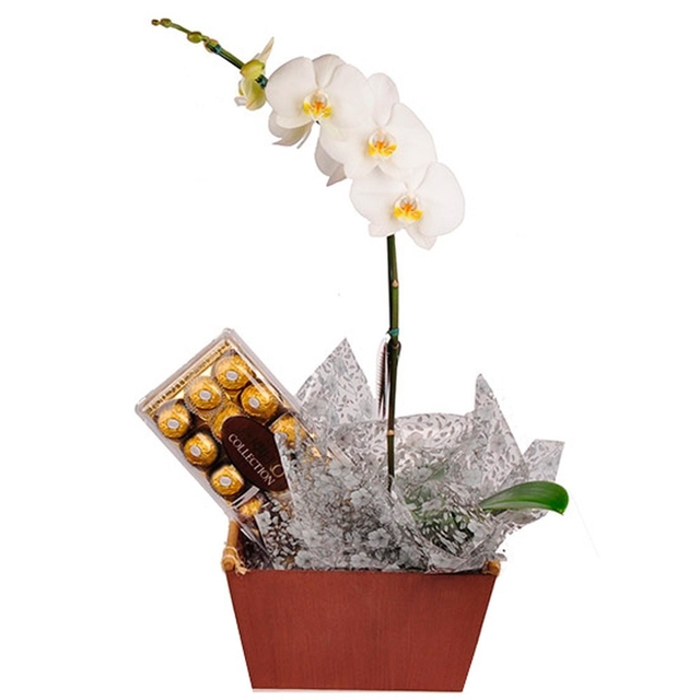 Orquídea e Bombons Ferrero - Per Amore Flores