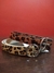 CINTO LEOPARDO - comprar online