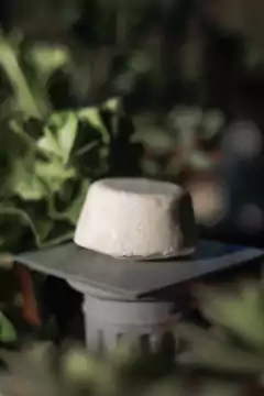 Acondicionador Sólido