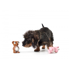 Aauckland Pig - tienda online