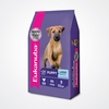 Eukanuba - Puppy Large Breed
