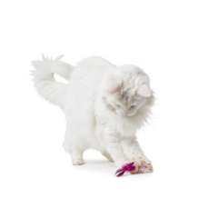 Mala Ball Pink - comprar online