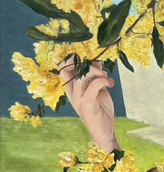 Cortando flores - comprar online