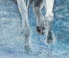 Desafío (apropiación fotografía Dream Horses 029 de Bob Langrish) en internet
