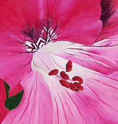 El geranio de mi jardín en internet