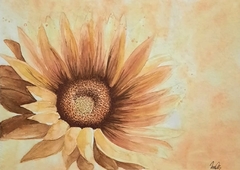 Girasol
