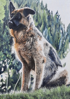 Ari