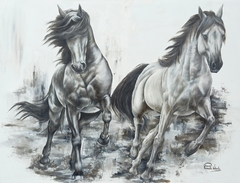 Apropiación obra “Paso de sombra” de Nicole Smith