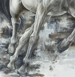 Apropiación obra “Paso de sombra” de Nicole Smith en internet