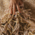 Alfombra chusi matizada con flecos. Raíz de pata, ocre y blanco natural. - comprar online