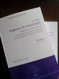 GLÜCK - LEY ORGÁNICA DE MUNICIPIOS 2 Ts