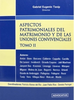 TAPIV - ASPECTOS PATRIMONIALES DE LAS UNIONES CONVIVENCIALES 2 Ts