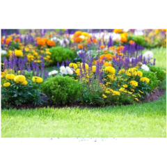 Sulfato de Cobre para Piletas, jardines, Fertilizante x Kg en internet