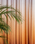 Cortinas - comprar online