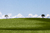 Serenidade - comprar online