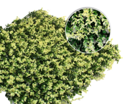 Jardines Artificiales - tienda online