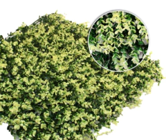 Jardines Artificiales - tienda online