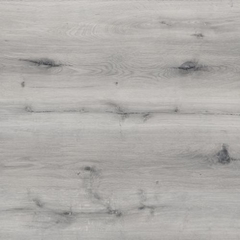 Sequoia Clara