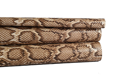 REPTIL MULTICOLOR (precio por rollo)