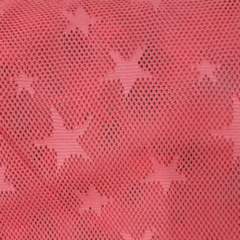 Red estrella