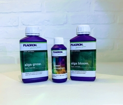 KIT PLAGRON (3 productos)