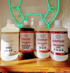 KIT CICLO COMPLETO KAWSAY (hidroponia) - comprar online