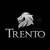 Machete Trento Forest 22 Mango Anatomico 58cm 131919 - tienda online
