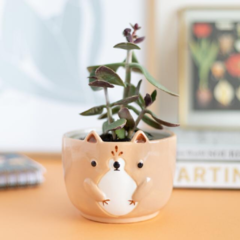 MACETA / BOWL ANIMALITOS - comprar online