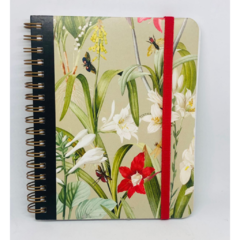 CUADERNO A6 BOTÁNICA